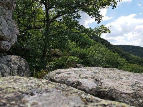 Les gardiens des gorges de la Sioule [30-07-2022](1139).jpg